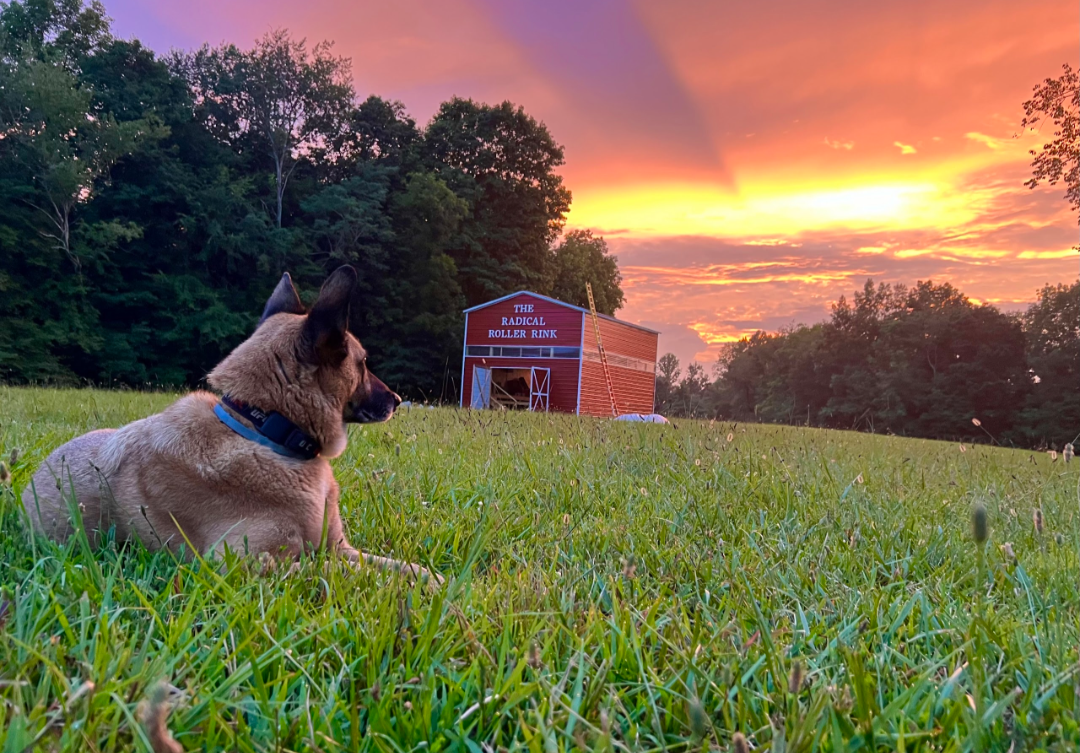 Wendy's Retirement Views